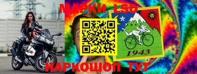 ГАЛЛЮЦИНОГЕННЫЕ ГРИБЫ Заволжье